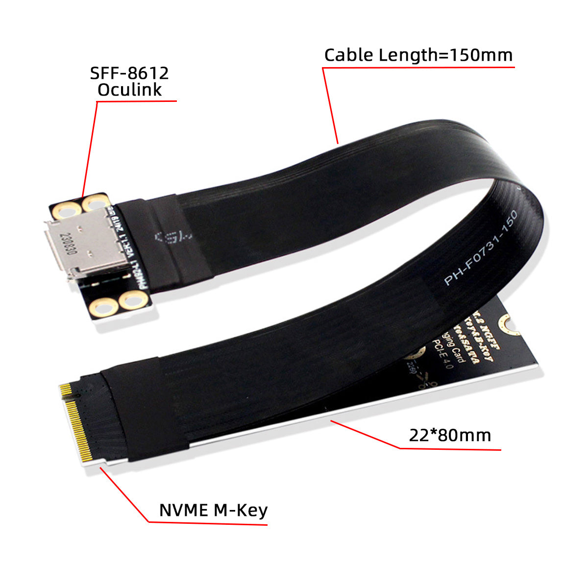 2280 NGFF PCI-E4.0 M.2 M-key to Oculink SFF-8612 SFF-8611 Host Cable 15cm for NVME U.2 SSD eGPU